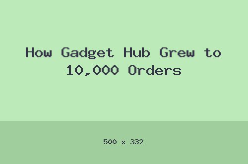 How Gadget Hub Grew to 10,000 Orders