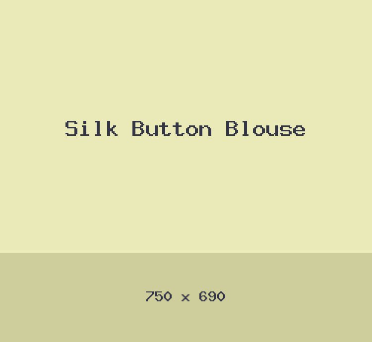 Silk Button Blouse