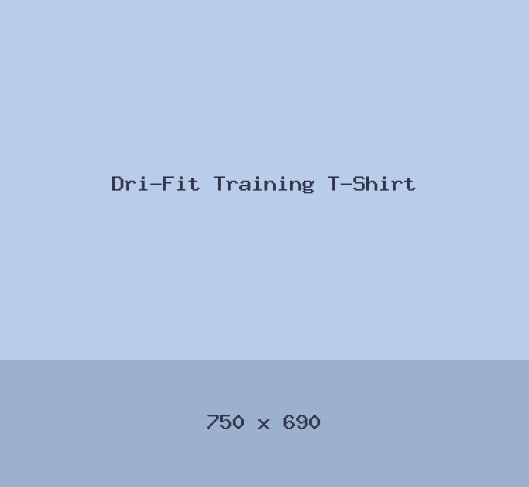 Dri-Fit Training T-Shirt
