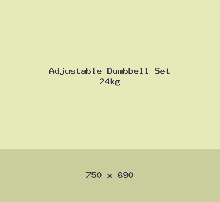 Adjustable Dumbbell Set 24kg